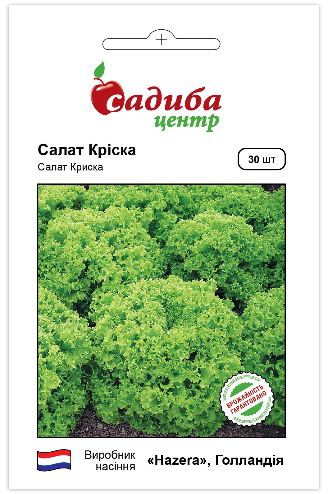 Насіння салату Кріска, 30шт, Hazera, Голландія, насіння Садиба Центр 1