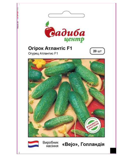 Насіння огірка Атлантіс F1, 20шт, Bejo, Голландія, насіння Садиба Центр 1