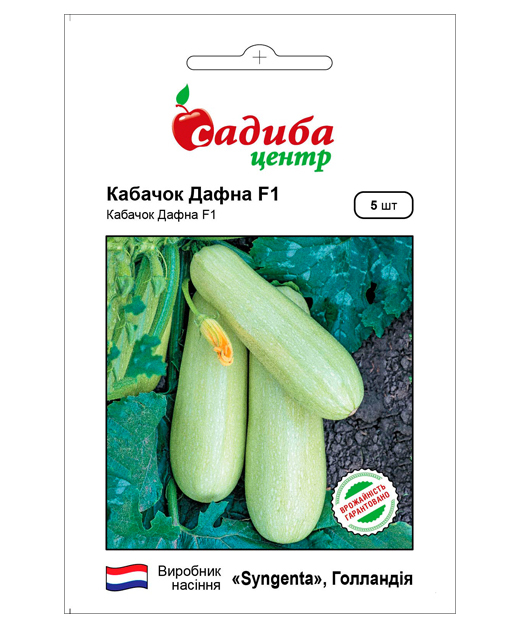 Насіння кабачка салатного Дафна F1, 5шт, Syngenta, Голандія, насіння Садиба Центр 1