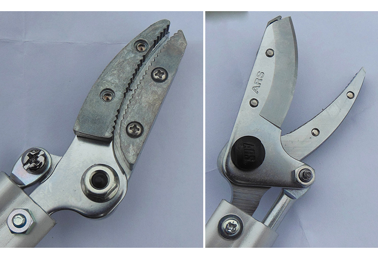 Секатор для роз и цветов, ARS, 160-0.6 4