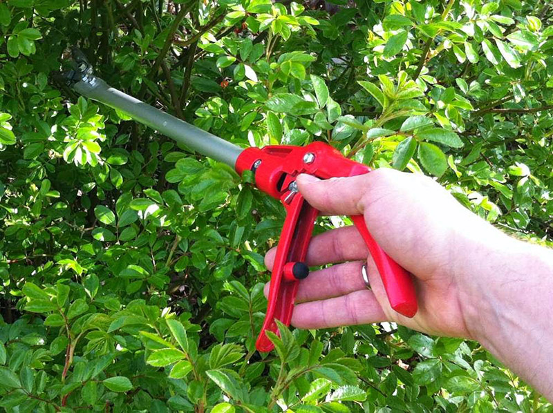 Секатор для роз и цветов, ARS, 160-0.6 2