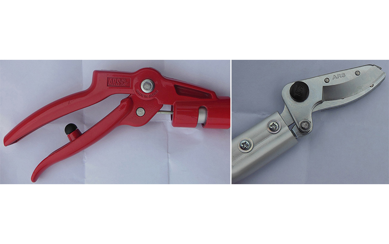 Секатор для роз и цветов, ARS, 160-0.6 3