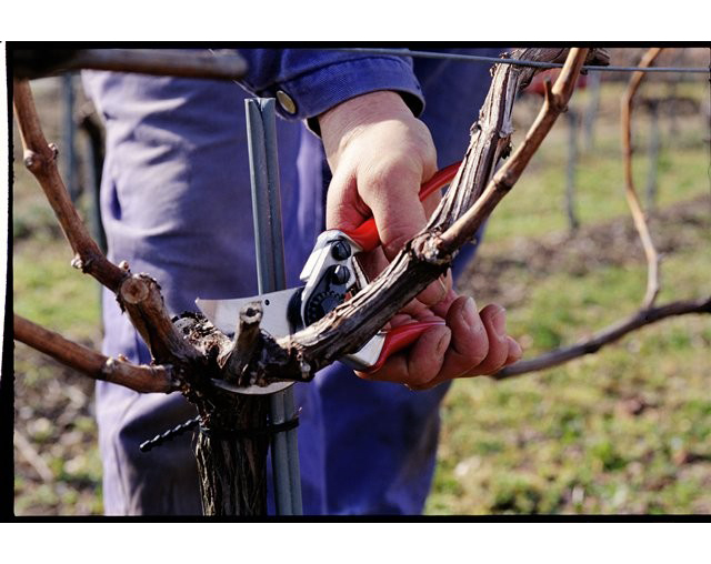 Секатор садовий Felco 11 5