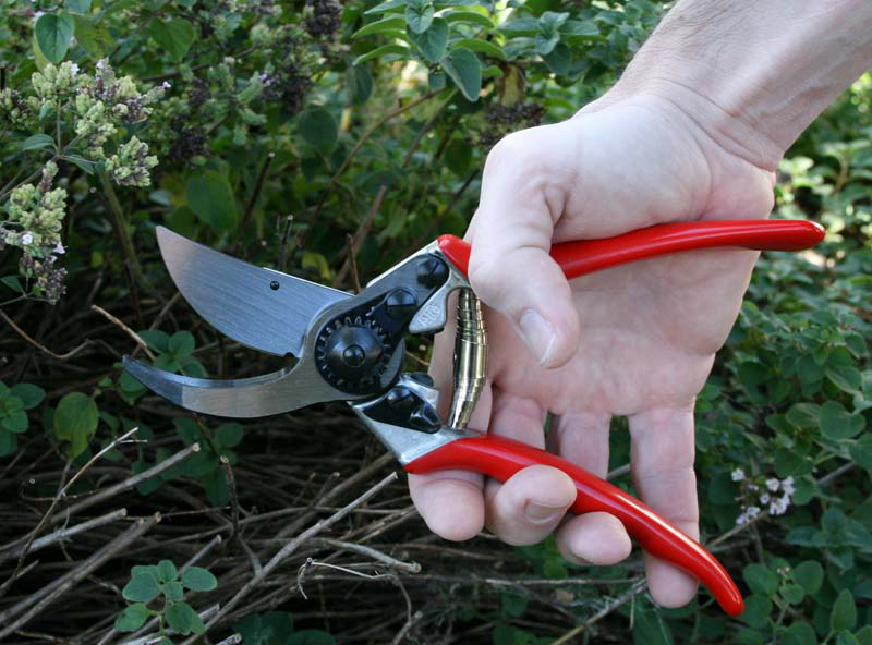 Секатор садовий Felco 11 2