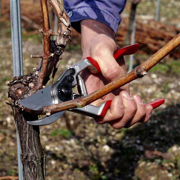 Лезвие Felco 13/3 для секаторов Felco 13 4