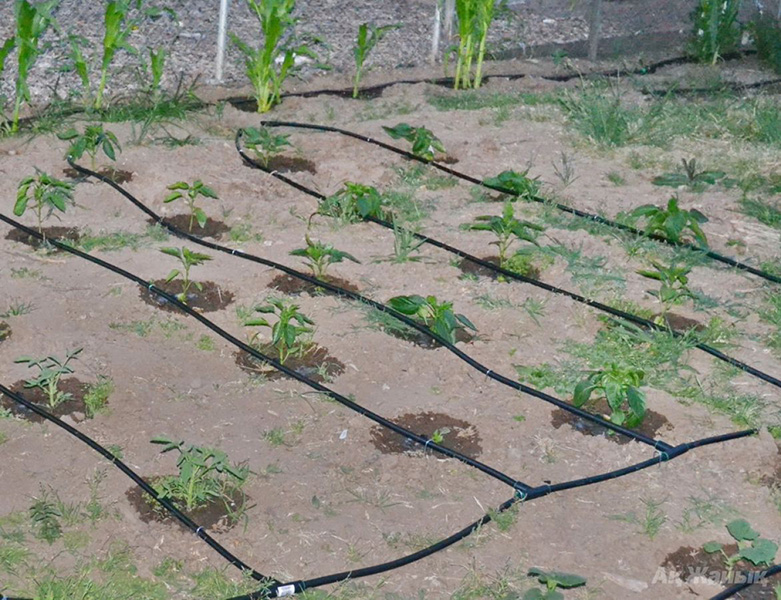 Крапельна стрічка16*0,2*30см(100м) 0,6  4