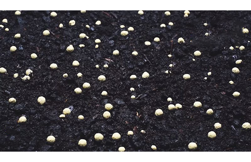 Природний раскислитель грунту Реаниматор газону AtriGran (АтріГран), 5кг, Nordkalk (Польща) 2