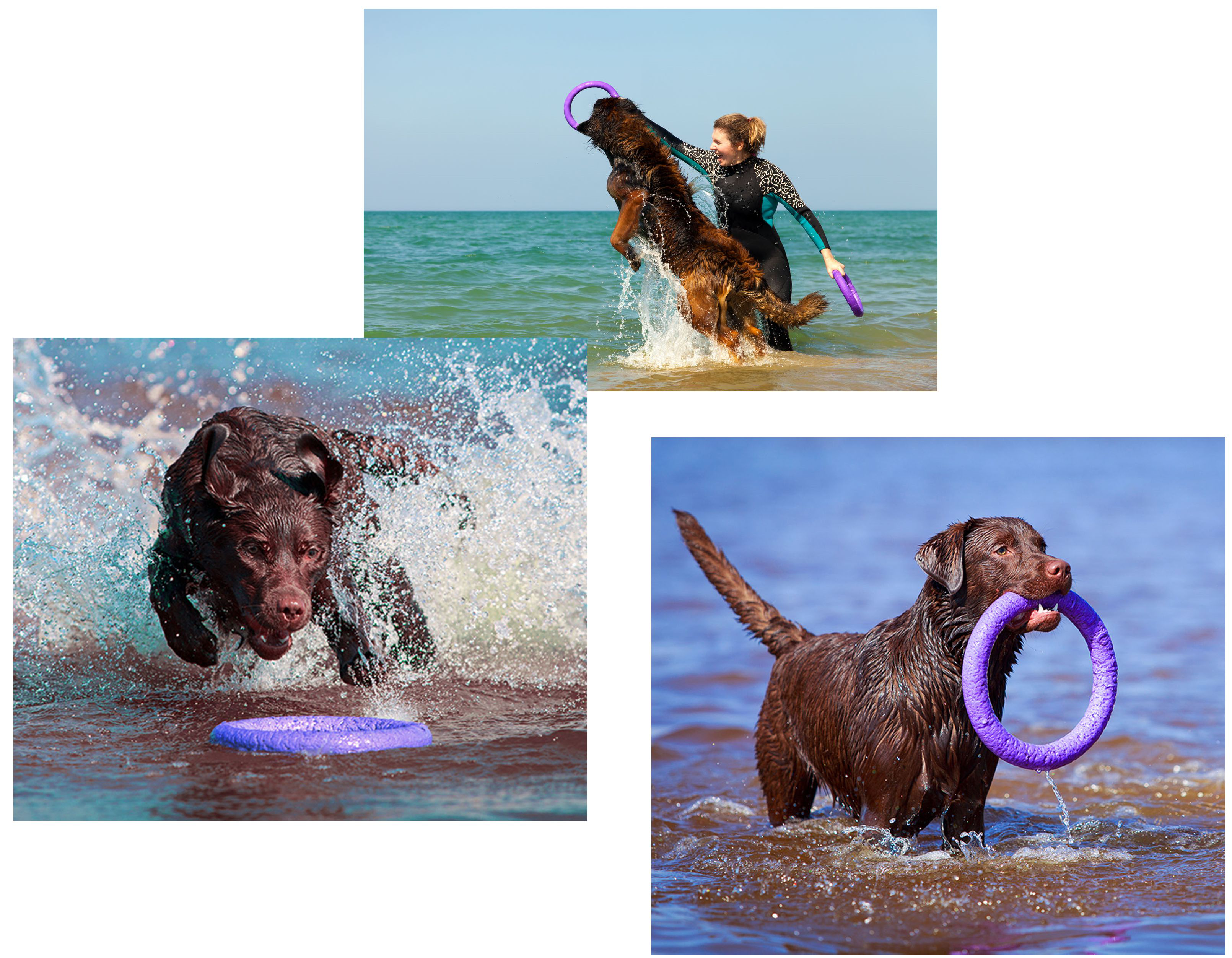 Тренувальний снаряд для собак Collar PULLER Standard, діаметр 28 см (6490) 4