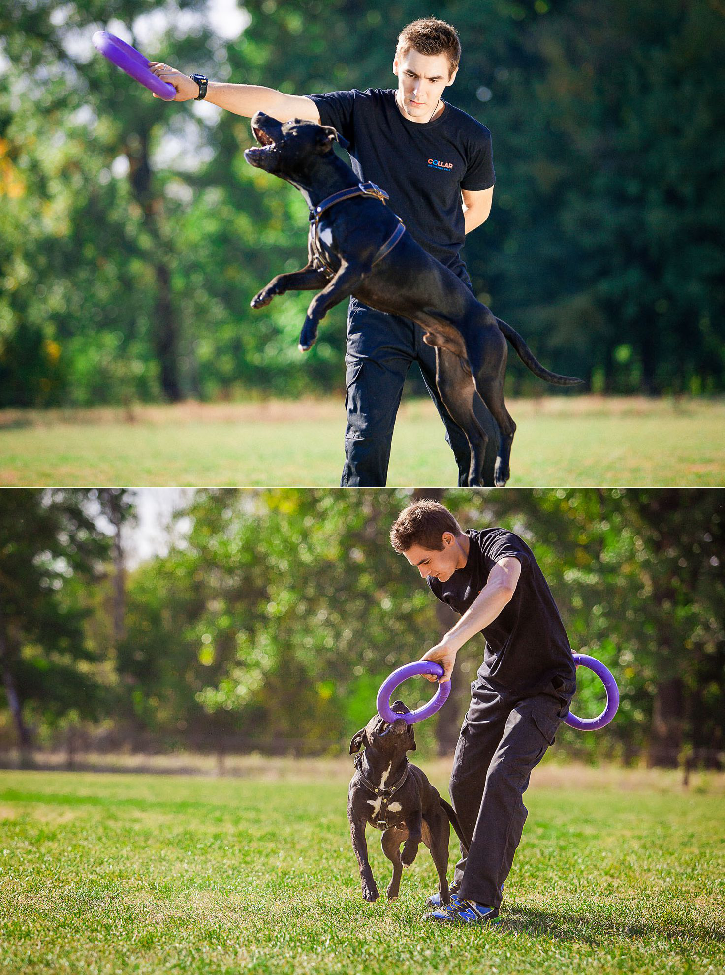 Тренувальний снаряд для собак Collar PULLER Standard, діаметр 28 см (6490) 5