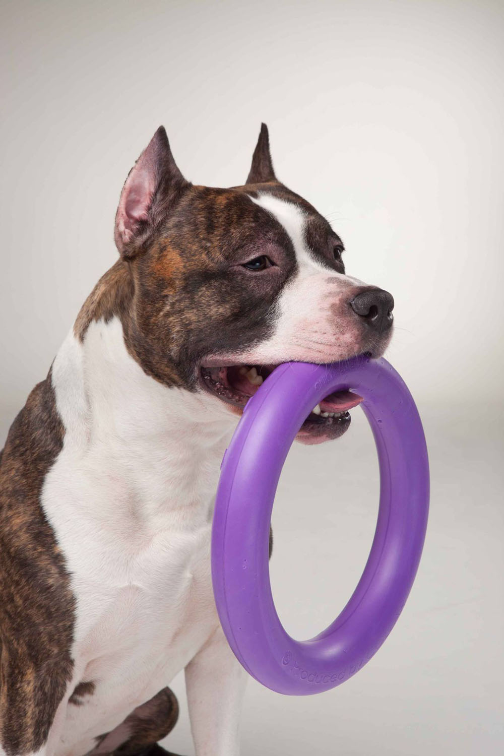 Тренувальний снаряд для собак Collar PULLER Standard, діаметр 28 см (6490) 6