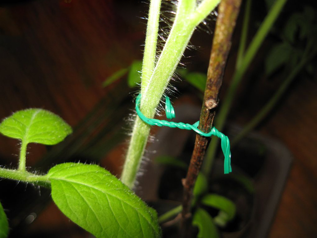 Набор для подвязки растений Flo, 71 элемент (88811) 4