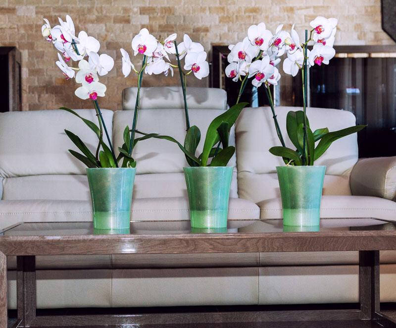 Горщик пластиковий Santino Arte-Dea круглий 2 л Блідо-зелений (ADEA20LG) 6