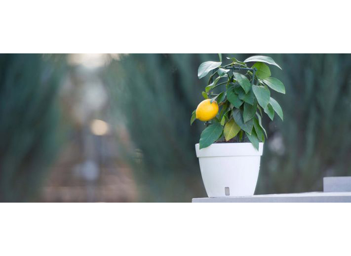 Вазон АСТИ 2,5 л білий-чорний, AS1 ALB-NGR 2