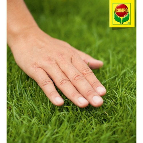 Комплексне мінеральне добриво для газону, 20 кг, Compo (Компо), 5284 3