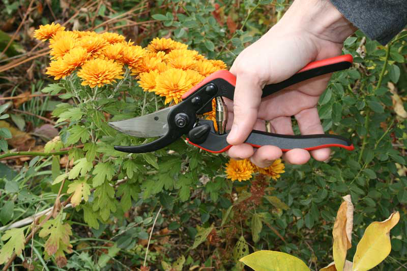 Секатор садовый Felco 160S 6