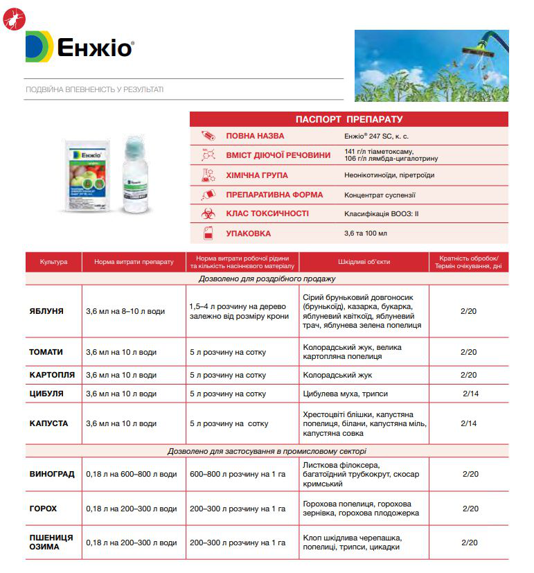 Інсектицид Енжіо, 100мл, Syngenta (Сингента) 2