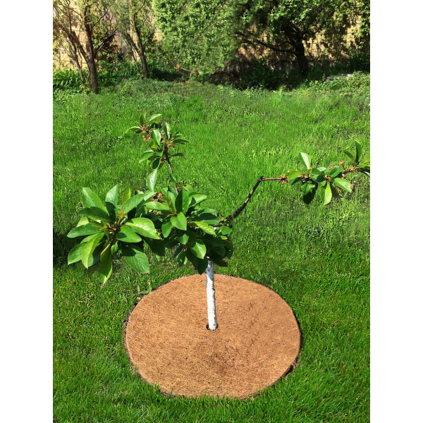 Приствольный круг из кокосового волокна EuroCocos, диаметр 60 см 3