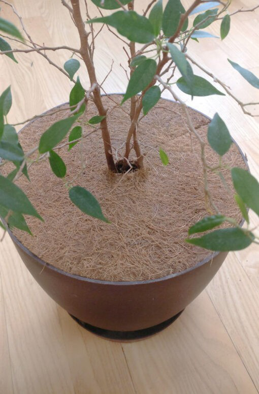 Приствольный круг из кокосового волокна EuroCocos, диаметр 60 см 6