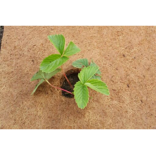 Приствольный круг из кокосового волокна EuroCocos, диаметр 60 см 5