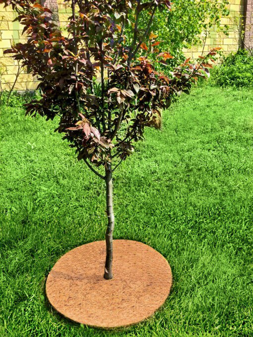 Приствольный круг из кокосового волокна EuroCocos, диаметр 60 см 4