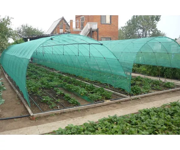 Затіняюча сітка 60%, 4х10м 3