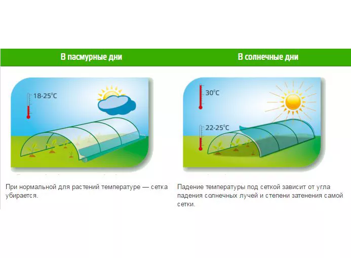 Затіняюча сітка 60%, 4х10м 4