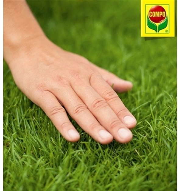 3170 Компо  Тверде добриво тривалоЇ діЇ для газонів (осінь) 4кг 2