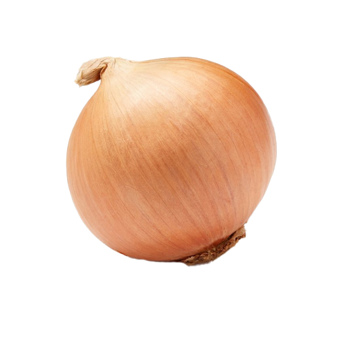 Насіння цибулі-сіянки Трой F1, 1 кг, Broer, Голландія 1