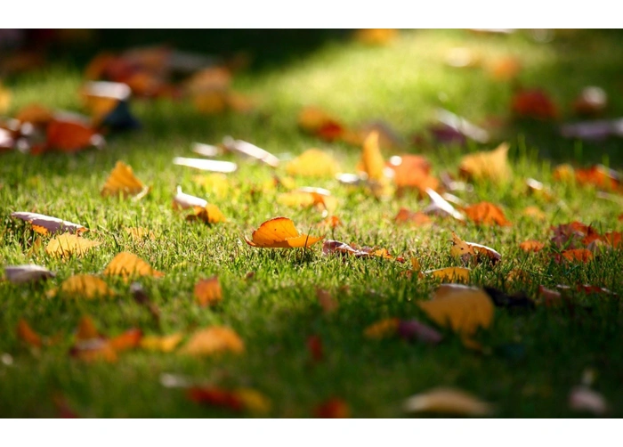 Комплексне добриво універсальне Agrecol Осінь NPK 0.13.27, 10 кг, 30244 2