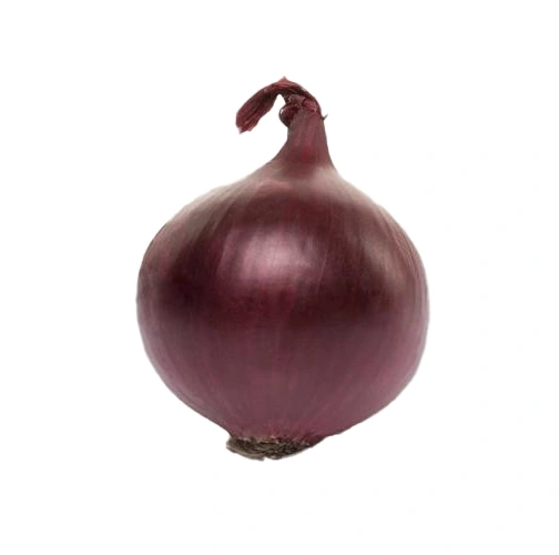 Семена лука-севка Ред Барон F1, 1кг, Голландия 1