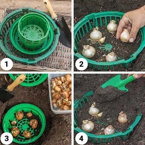 Корзинка для луковиц Круглая-23, FormPlastic (0560-017) 2