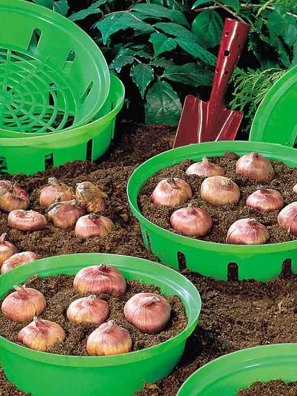 Корзинка для луковиц Круглая-23, FormPlastic (0560-017) 4