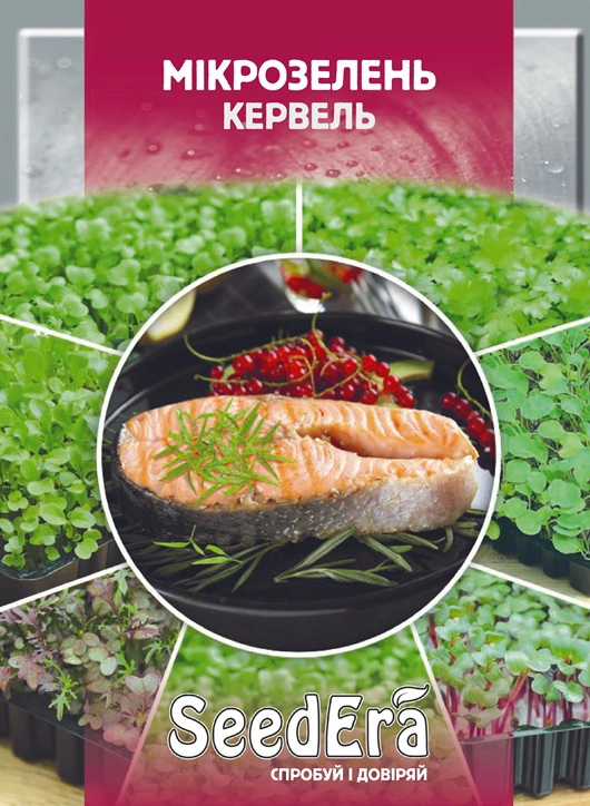 Семена микрозелень Кервель, Seedera 10г