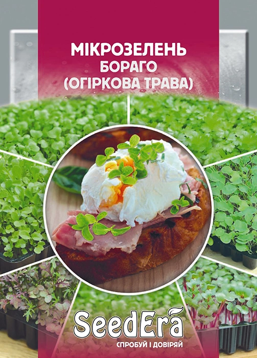Семена микрозелень Бораго Seedera, 10 г