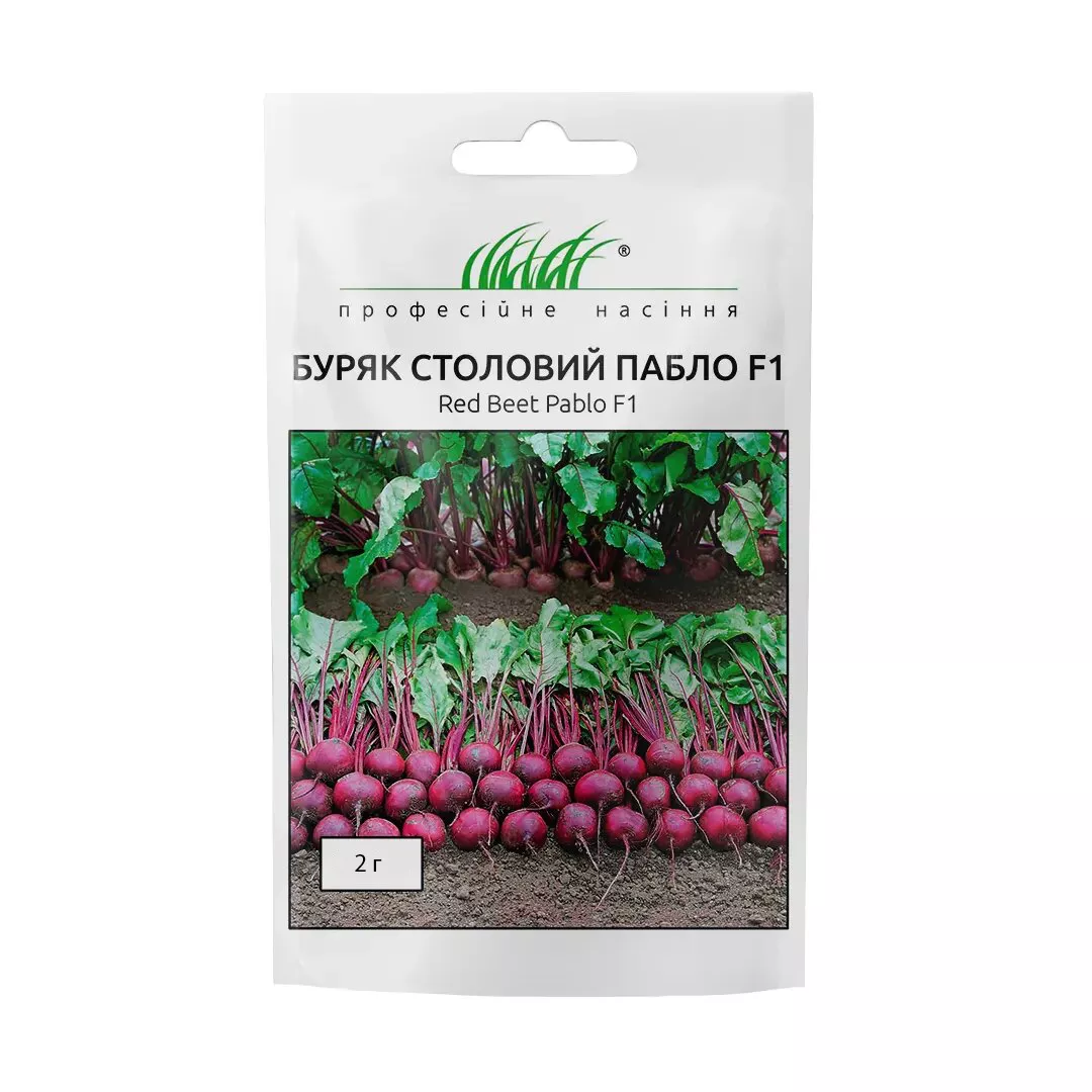 Насіння буряка столового Пабло F1, 2 г, Bejo, Голландія, Насіння Pro seeds 1