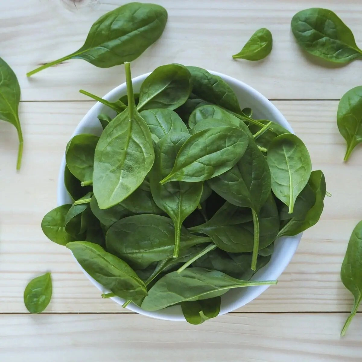 Насіння шпинату Рембрант F1, 2г, Bejo, Голландія, Професійне насіння 2