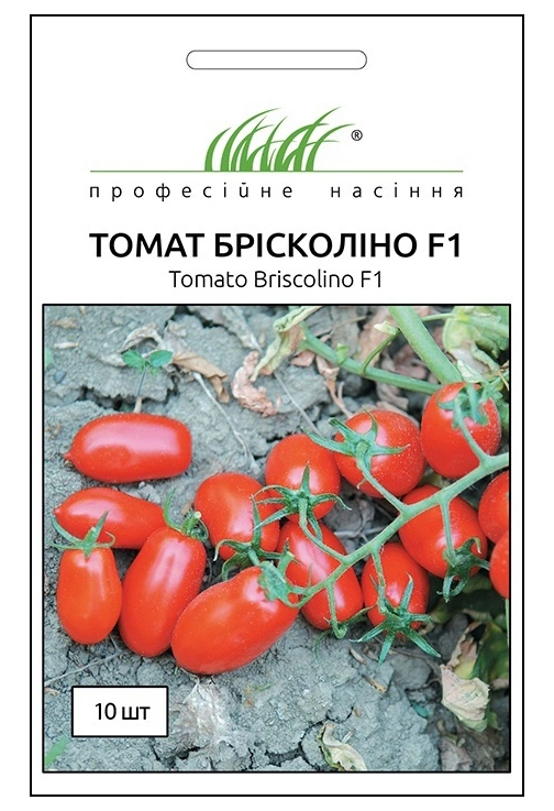 Насіння томату Брісколіно F1, 10 шт, United Genetics, Італія, Професійне насіння 1