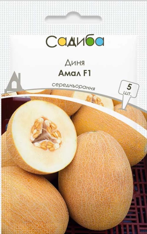 Насіння дині Амал F1, 5 шт, Clause, Франція, насіння Садиба Центр