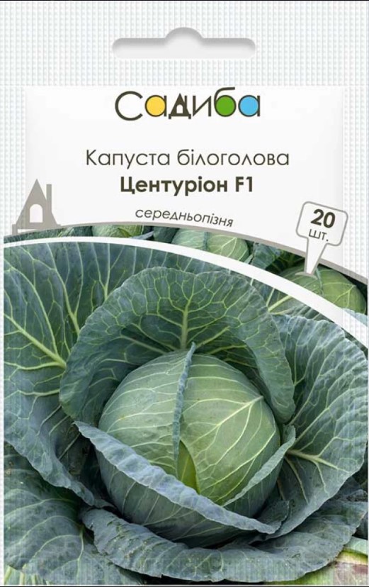 Насіння капусти Центуріон F1, 20шт, Clause, Франція, насіння Садиба Центр