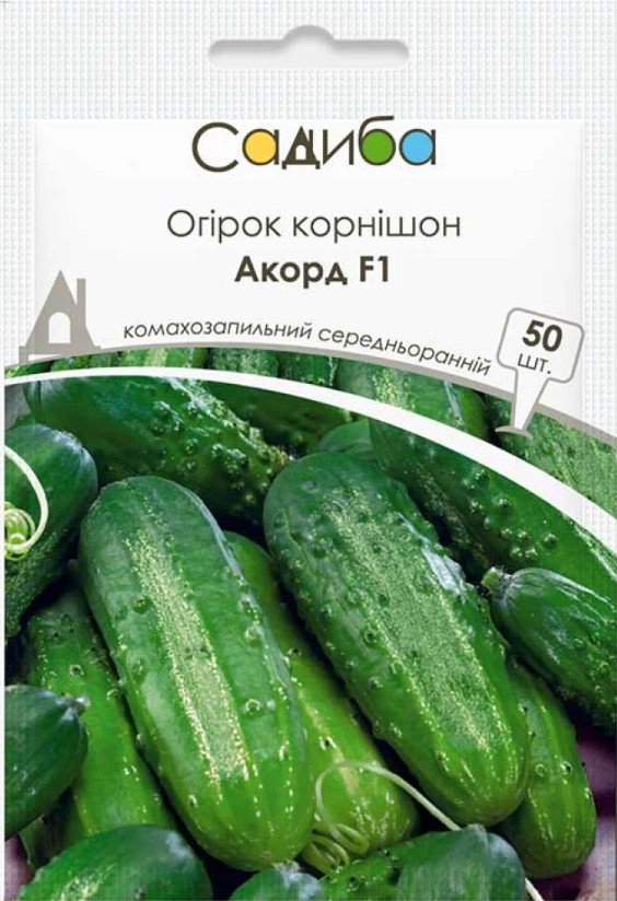 Семена огурца Акорд F1, 50шт, Bejo, Голландия, семена Садиба Центр