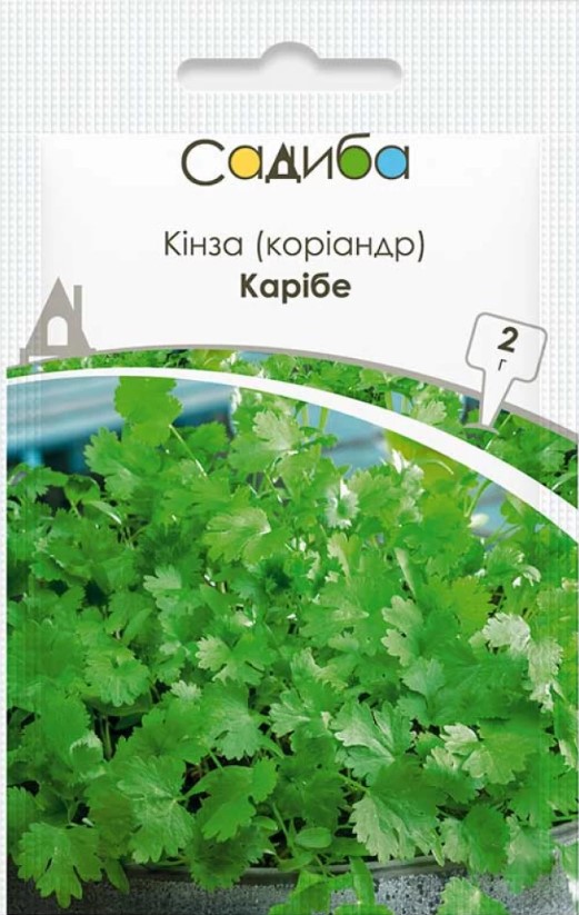 Насіння коріандру Кариби, 2г, Bejo, Голландія, насіння Садиба Центр