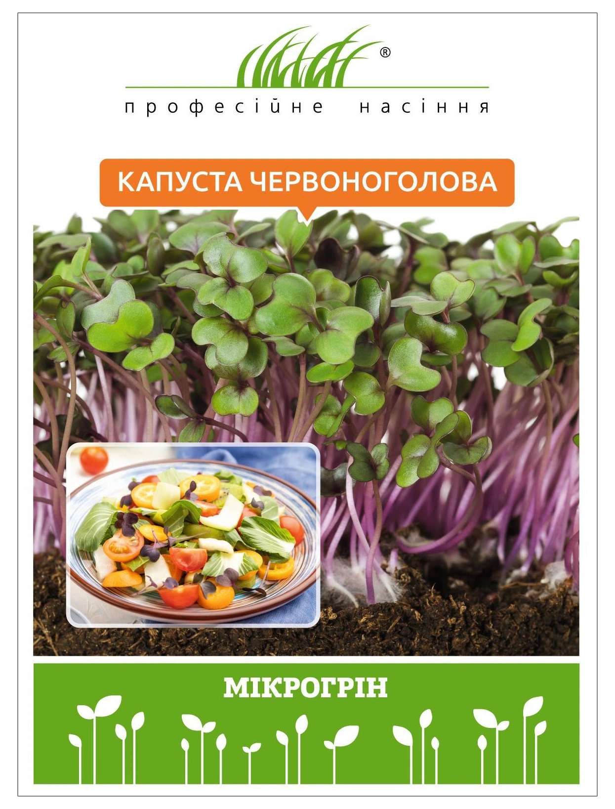 Микрозелень капусты красноголовой, 10 г, W.Legutko, Польша, Професійне насіння 1