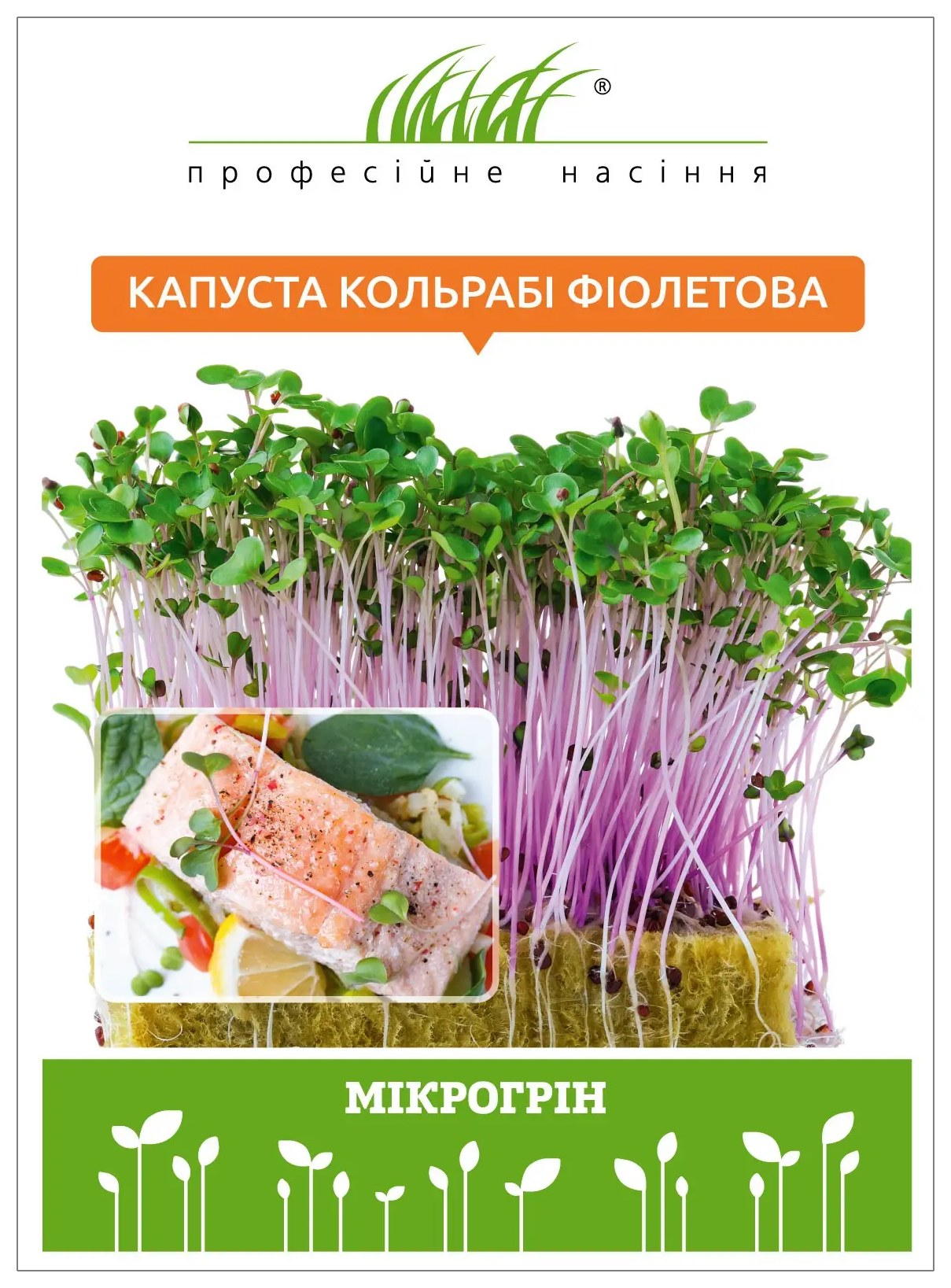 Микрозелень капусты фиолетовой кольраби, 10 г, W.Legutko, Польша, Професійне насіння 1