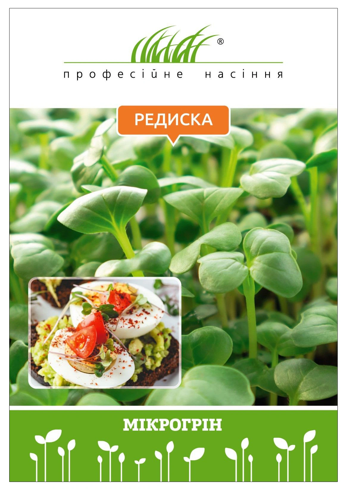 Мікрозелень редиски 10 г, W.Legutko, Польша, Професійне насіння