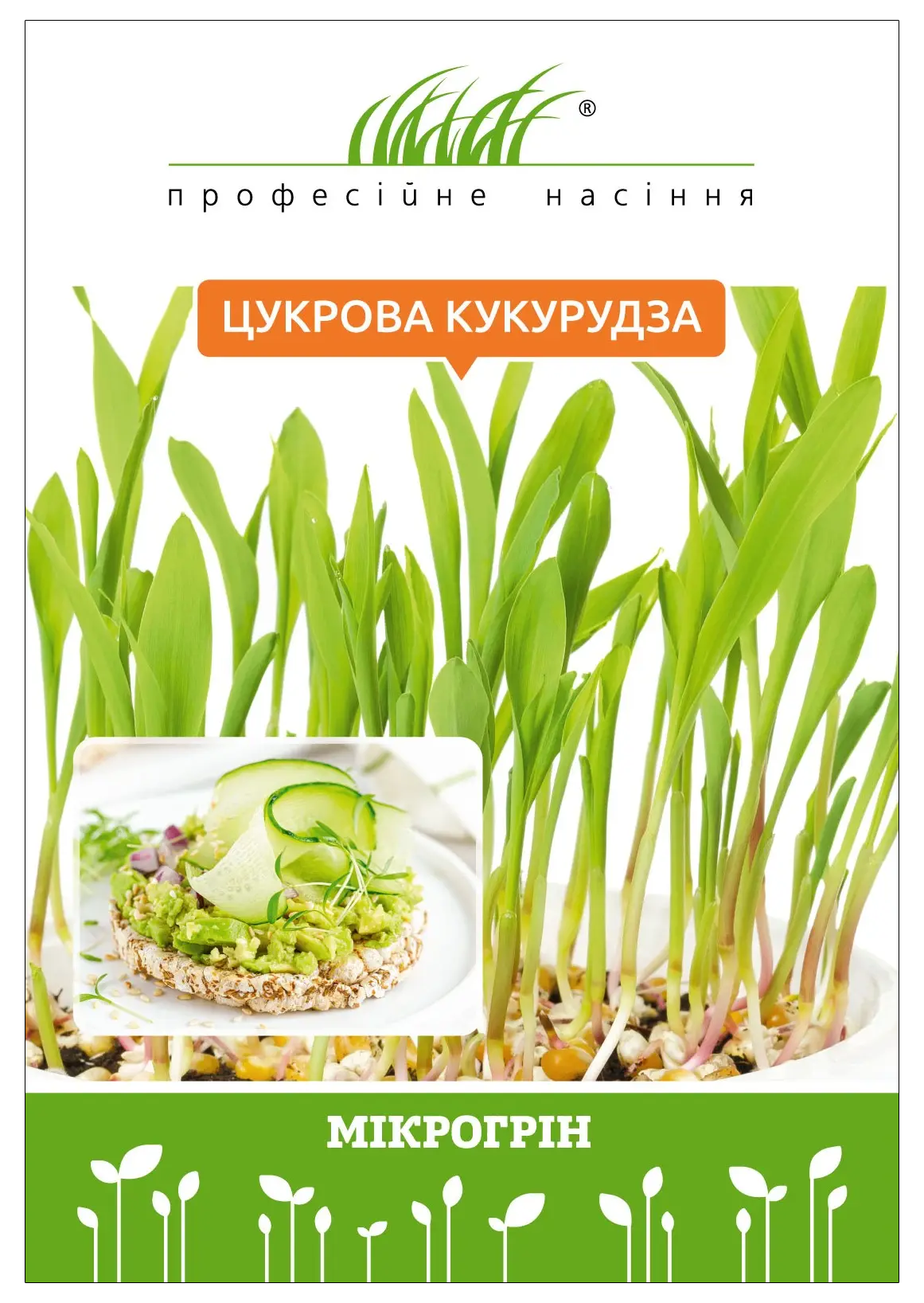 Микрозелень сахарной кукурузы, 20 г, W.Legutko, Польша, Професійне насіння 1