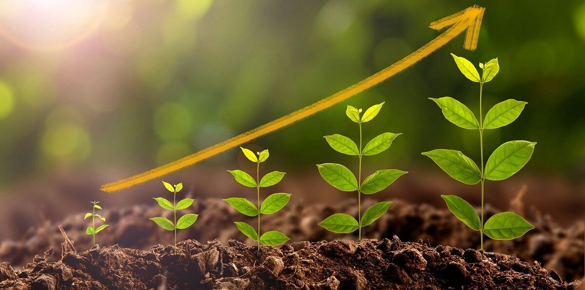 Біостимулятор росту кореневої системи (укорінювач) Radifarm (Радіфарм), 100мл, Valagro (Валагро) 3