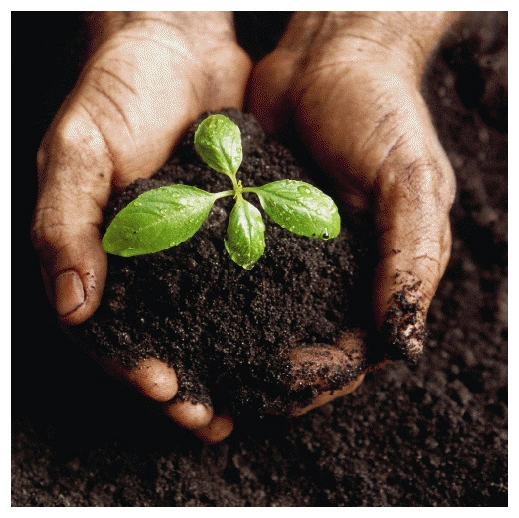 Торф “Big-Bale” ТН (3500л), Peatfield (Питфилд) 1