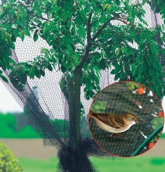 Сітка від птахів, 4х20м