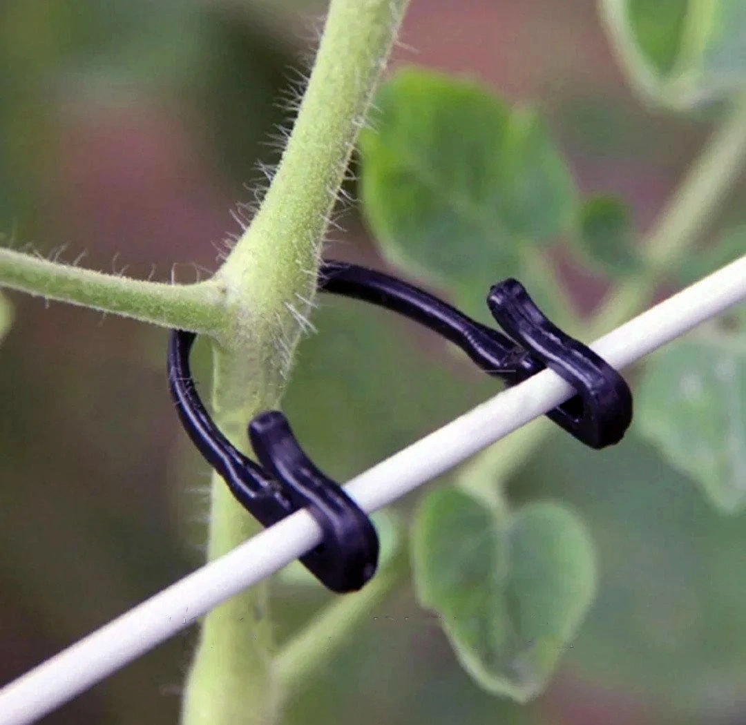 Шпагат-дріт Stofix Stocker 2060, 50 м 2