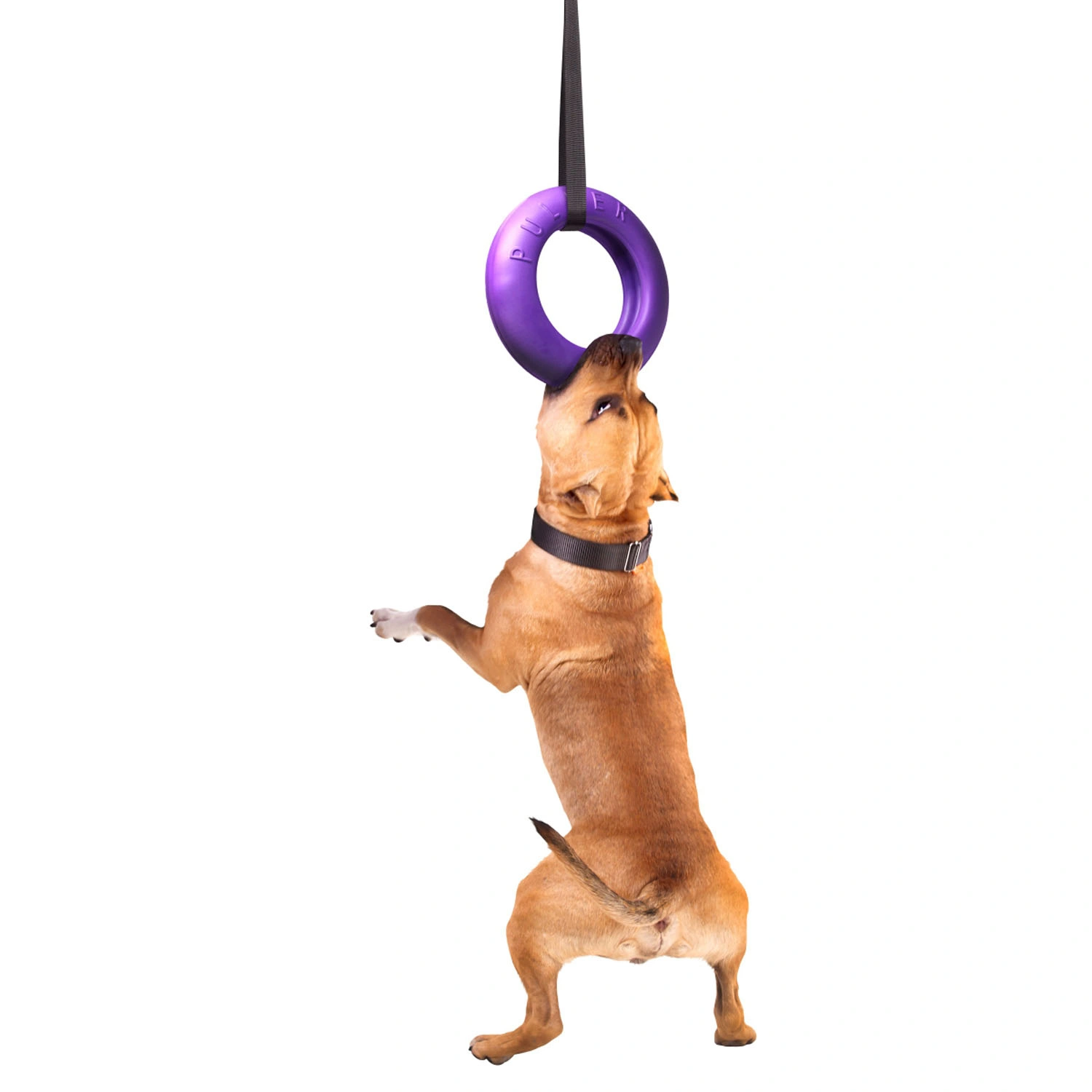 Тренувальний снаряд для собак Collar PULLER Мaxi, діаметр 30 см (6492) 3